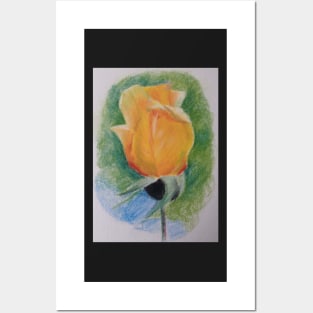 yellow rose Posters and Art